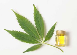 cbd oil plaistow nh